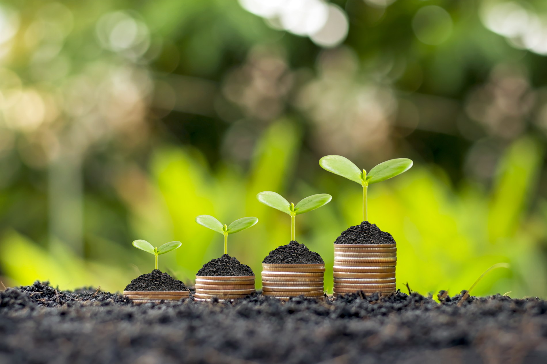 All you need to know about the ecommerce loyalty program.