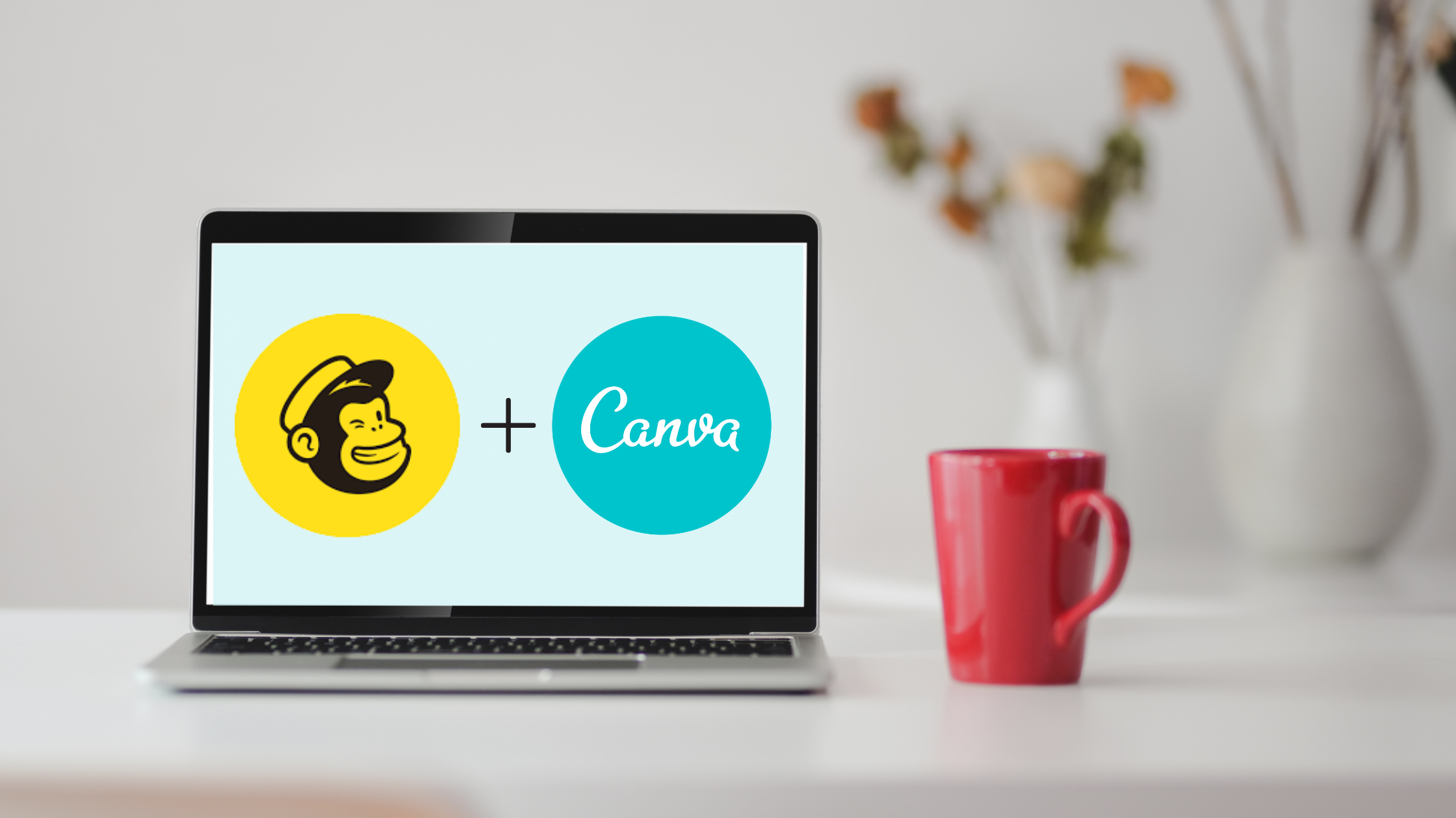 how to connect canva to mailchimp