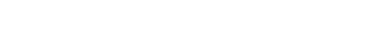 Sky Zone white logo.