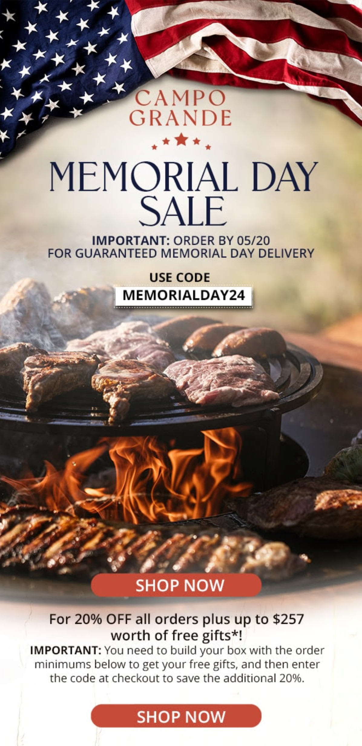 Memorial day sale email design.