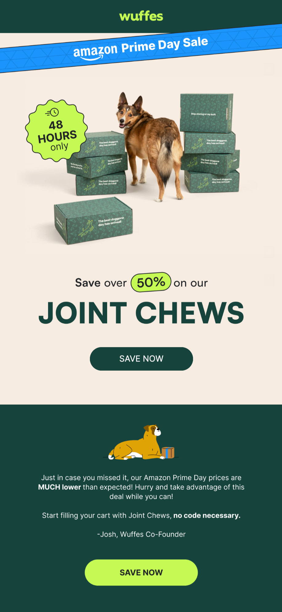 Prime day email by wuffes.