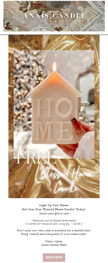 A festive Christmas newsletter template featuring holiday-themed graphics and space for personalized messages.