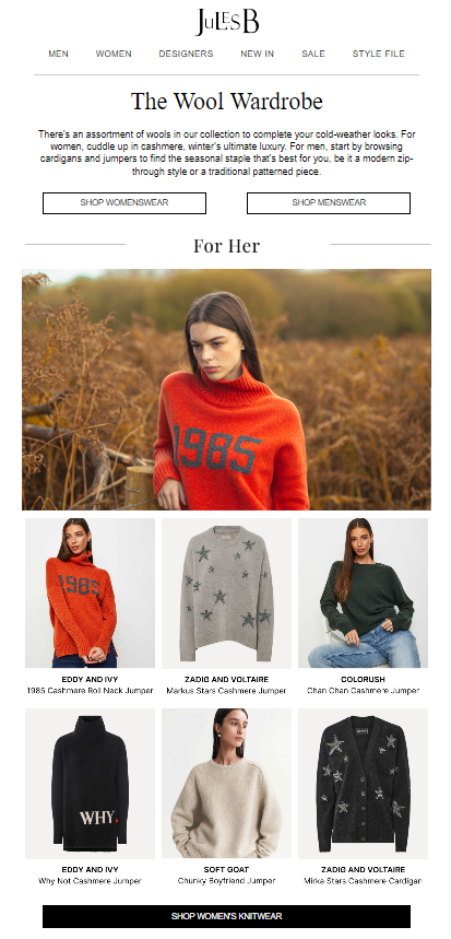 Cozy email design for Wool Wardrobe, celebrating Cuddle Day with warm colors and inviting textures.