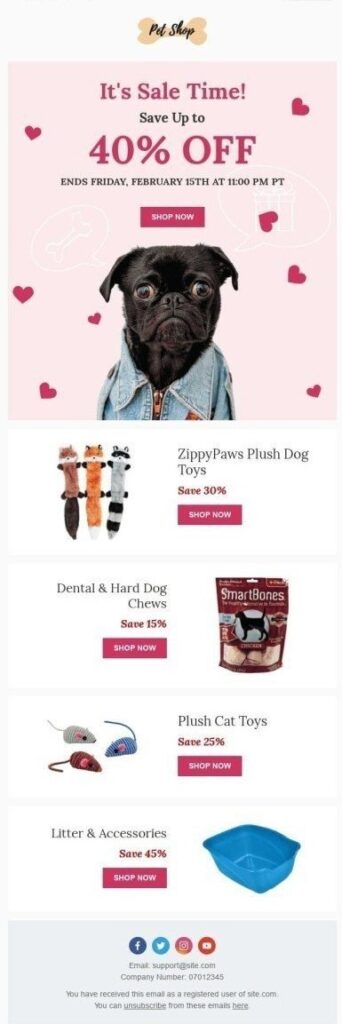 Promotional email template for Doggy Date Night, showcasing special offers and events at the dog store for pet lovers.