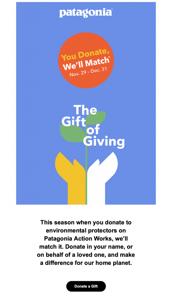 Donation match email example, showcasing the joy of giving and sharing with others.
