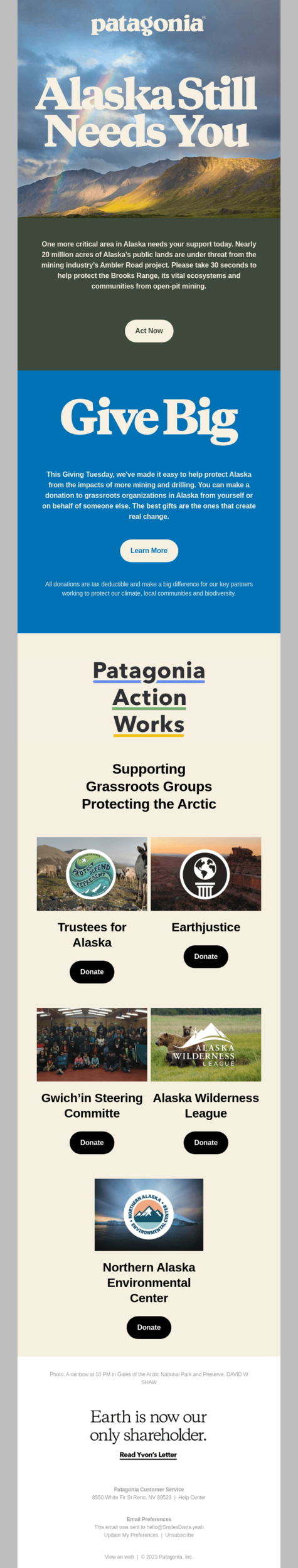 Patagonia’s Giving Tuesday email example, motivate action by presenting a clear, appealing message and using images or testimonies that are relevant to the cause.