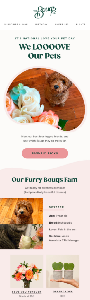 A vibrant flower shop email design featuring colorful blooms, celebrating Love Your Pet Day with floral arrangements for pets.