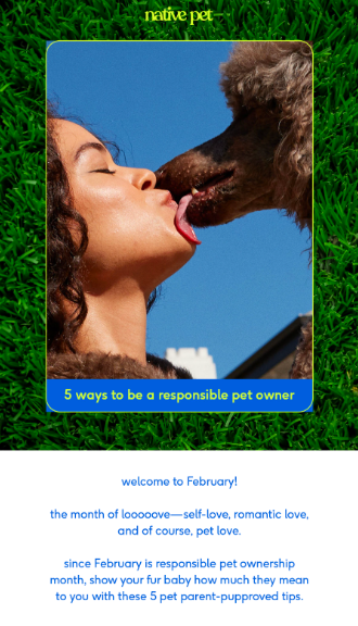 A vibrant illustration of Love Your Pet Day, highlighting the bond between pets and their owners through attentive care and love.
