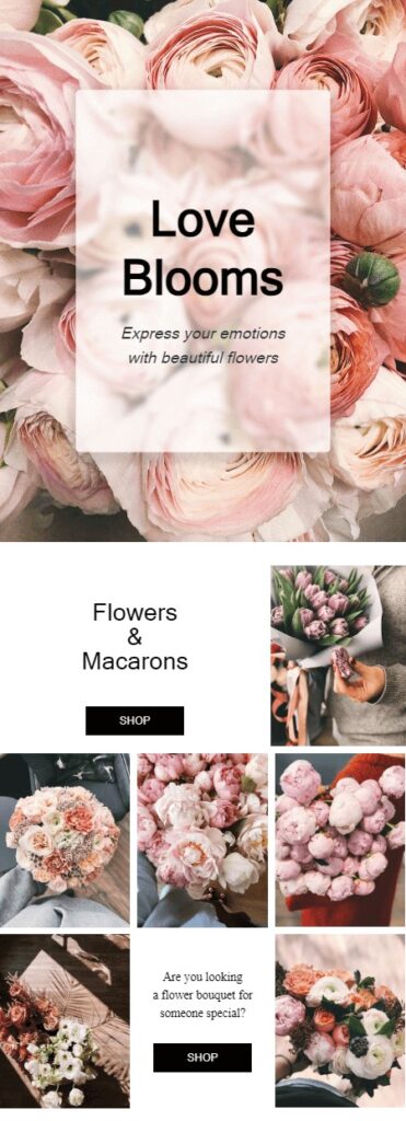 Email design showcasing Love Blooms Flowers, featuring beautiful floral arrangements and elegant design elements.