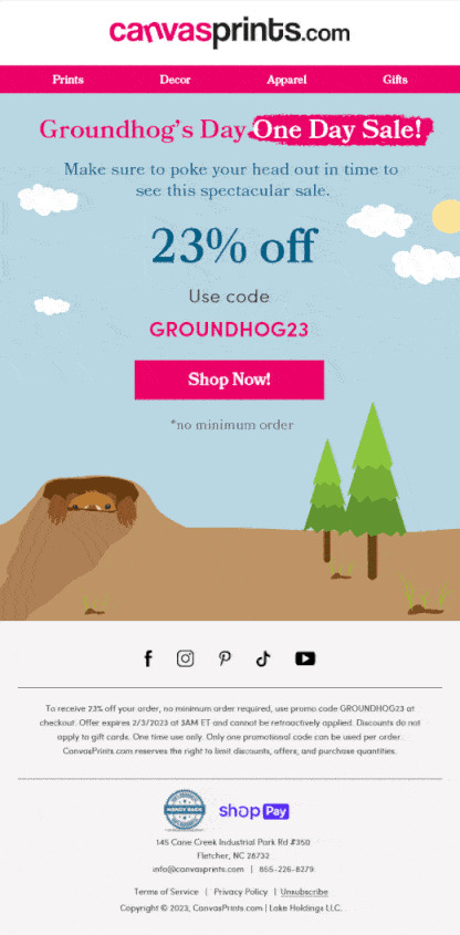 Promotional image for Groundhog Day sale, highlighting a 23% discount on various products.