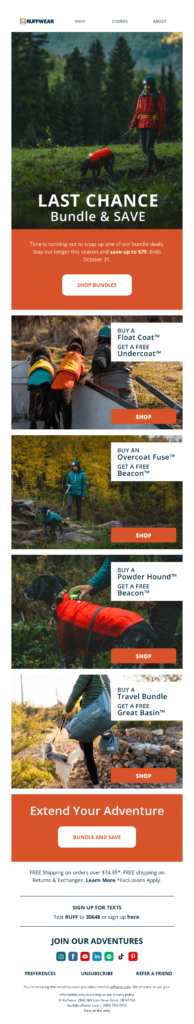 Email design showcasing a pet dress day, highlighting vibrant costumes and joyful pets.