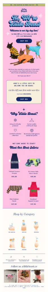 Email design, featuring a vibrant theme for Pet Dress Day celebrations.