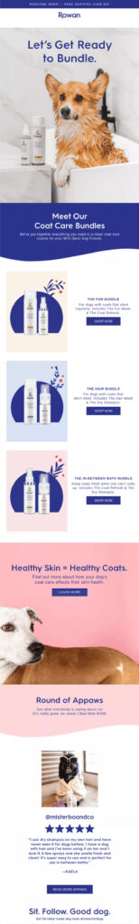 Email design of a pet company, promoting pet cosmetic for World Care Day.