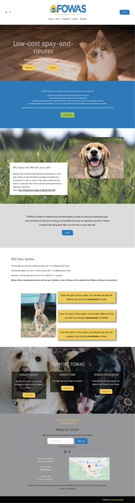 Email design for a pet store featuring vibrant colors and pet-friendly themes, promoting World Spay Day awareness.