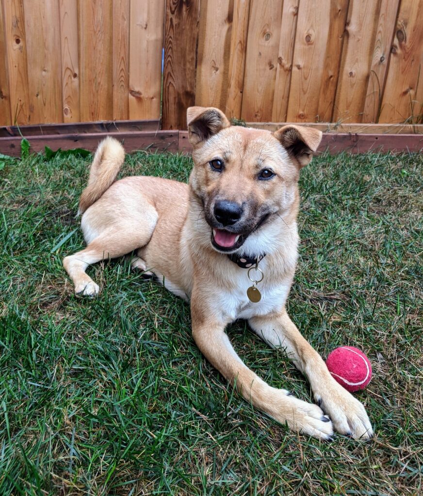 Janna Hagan's dog.