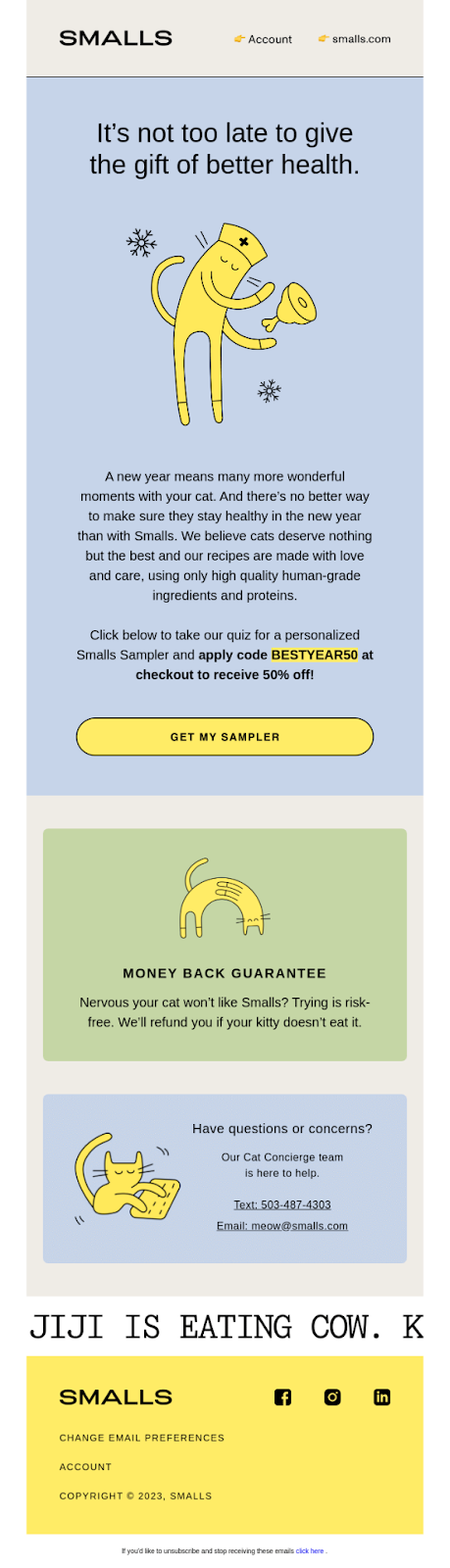 A sleek email design featuring a playful cat theme, perfect for a New Year’s email titled "Looking Forward."