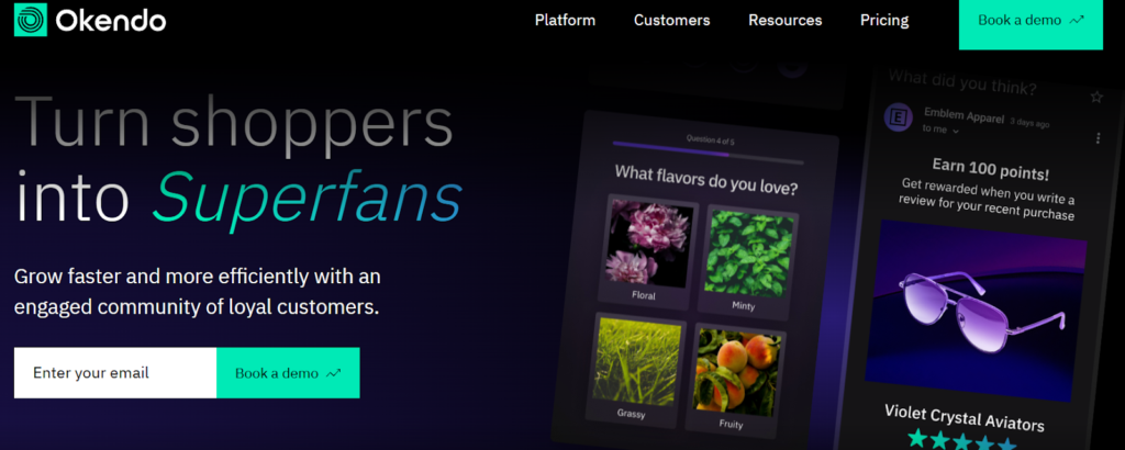 The Okendo homepage focused on customer engagement.