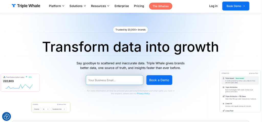 Website interface showcasing Triple Whale's data digitization tools aimed at fostering business growth.