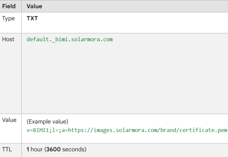 An image showing additional text DNS record.