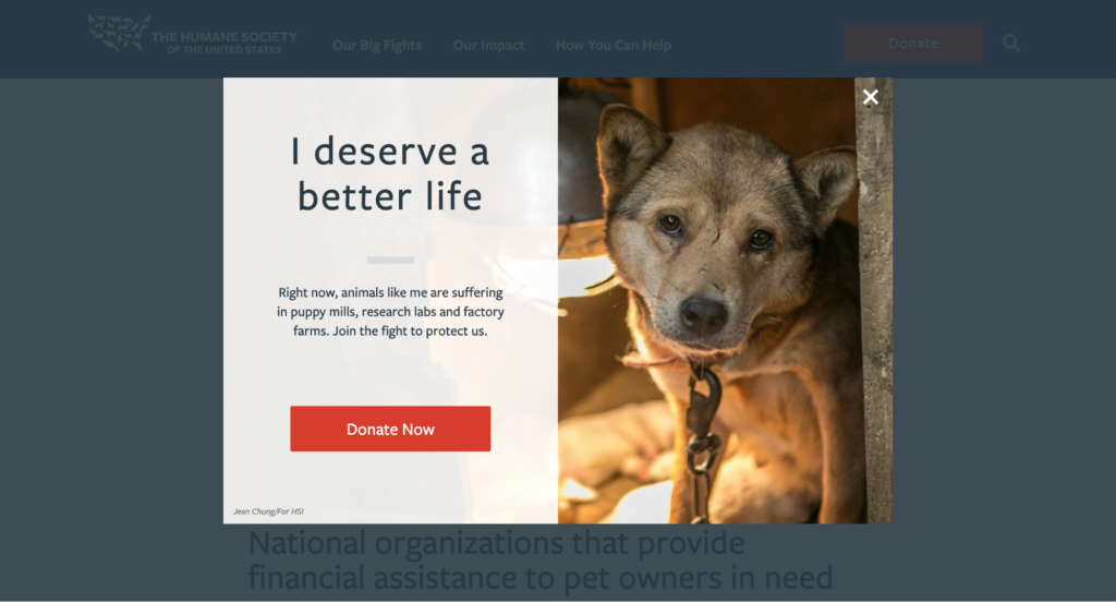 Donation pop-up.