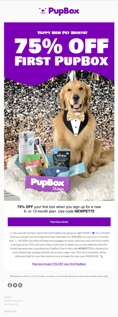 Email example for National Puppy Day.