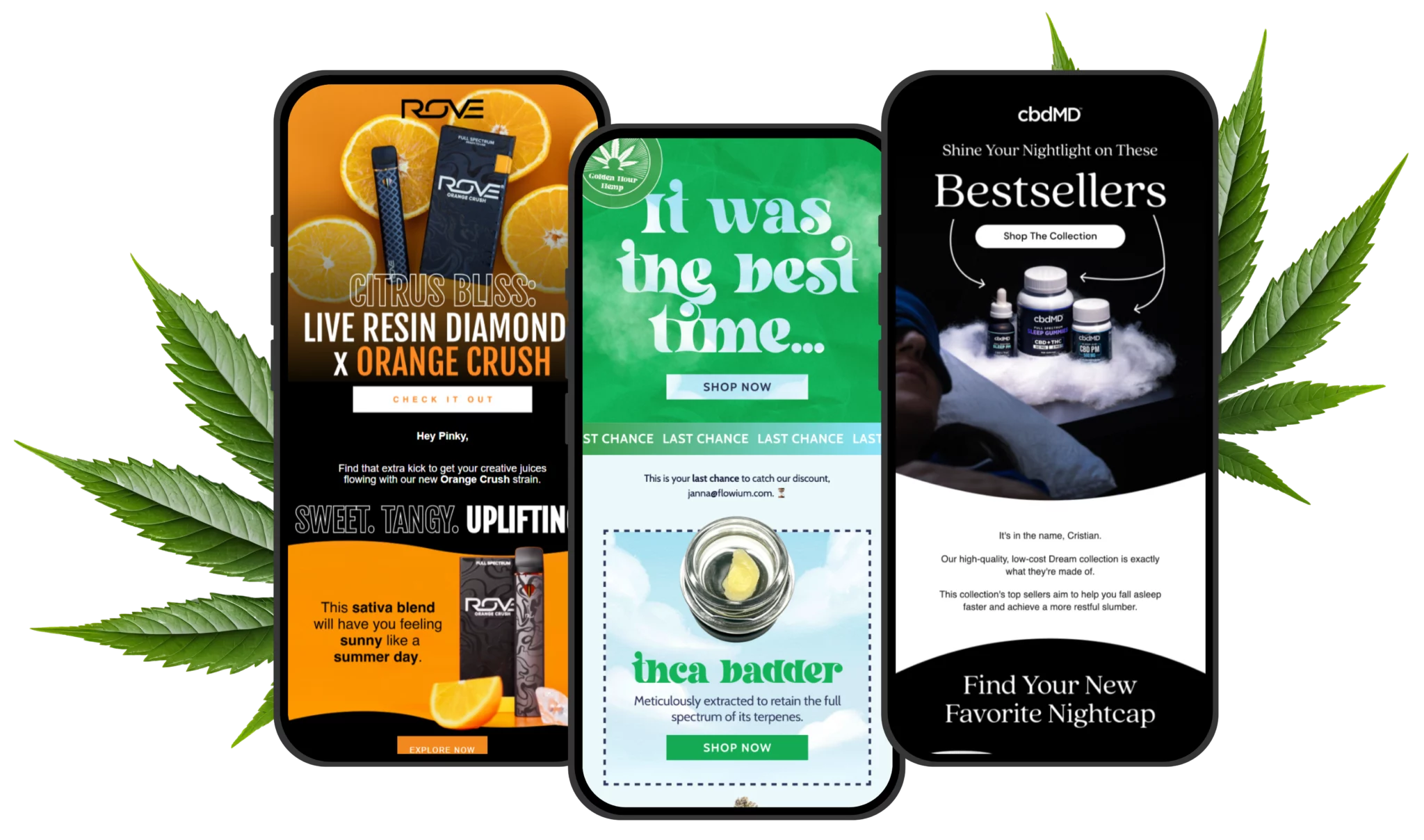CBD email designs.