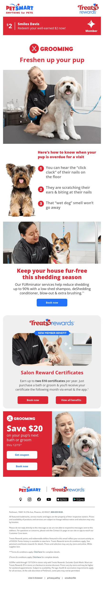Help Animals Day email design.
