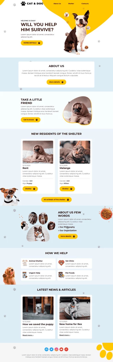 Help Animals Day email design.