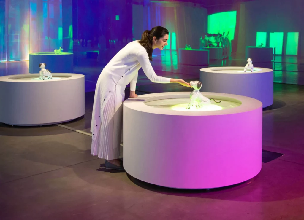 Installations of Interaction example.