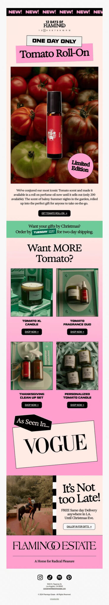 An example of Limited-time Offers in email.