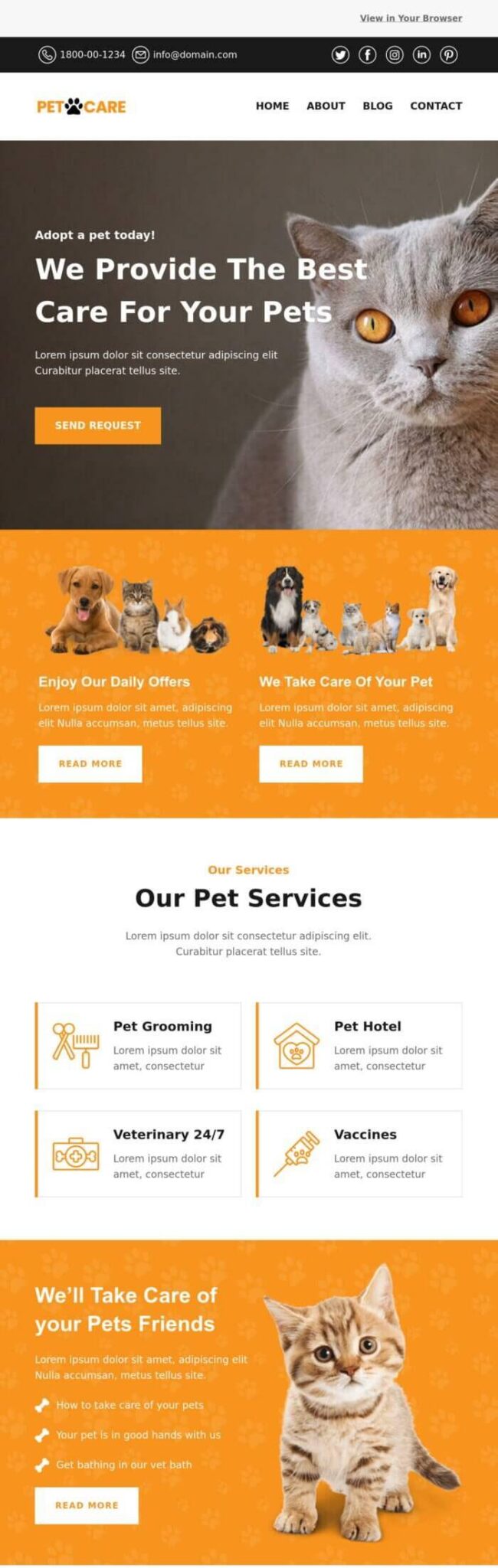 Pet Parents Day email design.