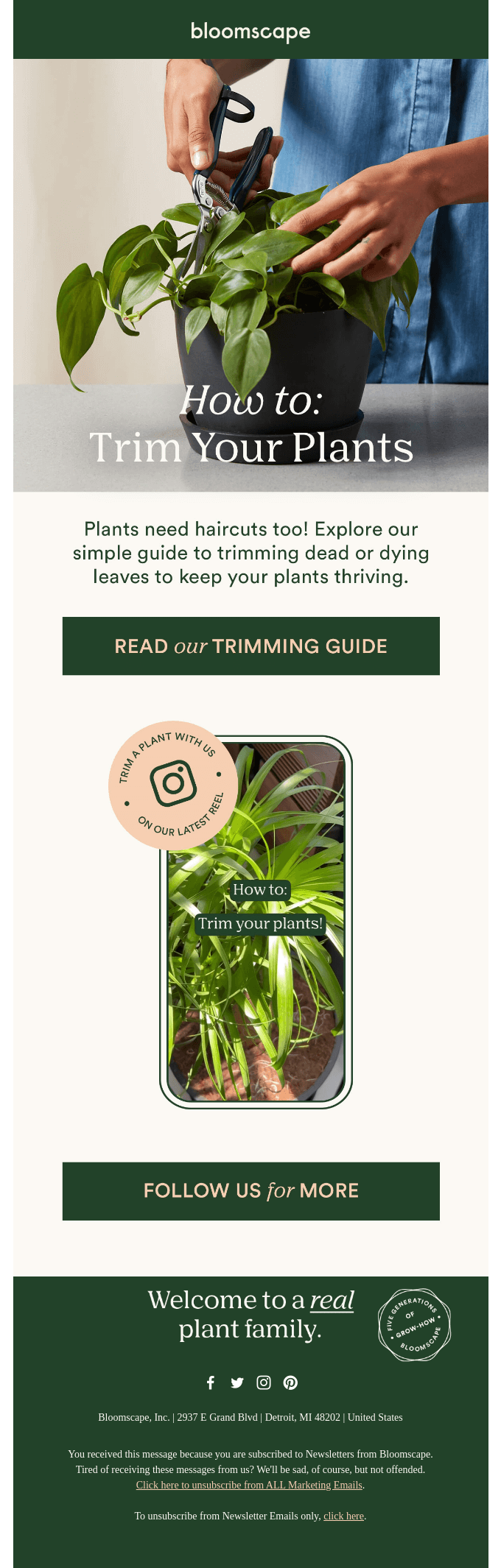 International Plant Health Day email example.