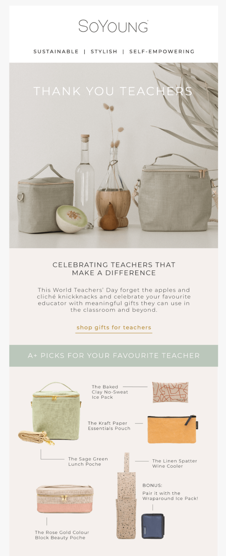 National Teacher Appreciation Day email example.