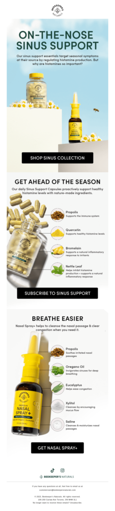 World Bee Day email example.