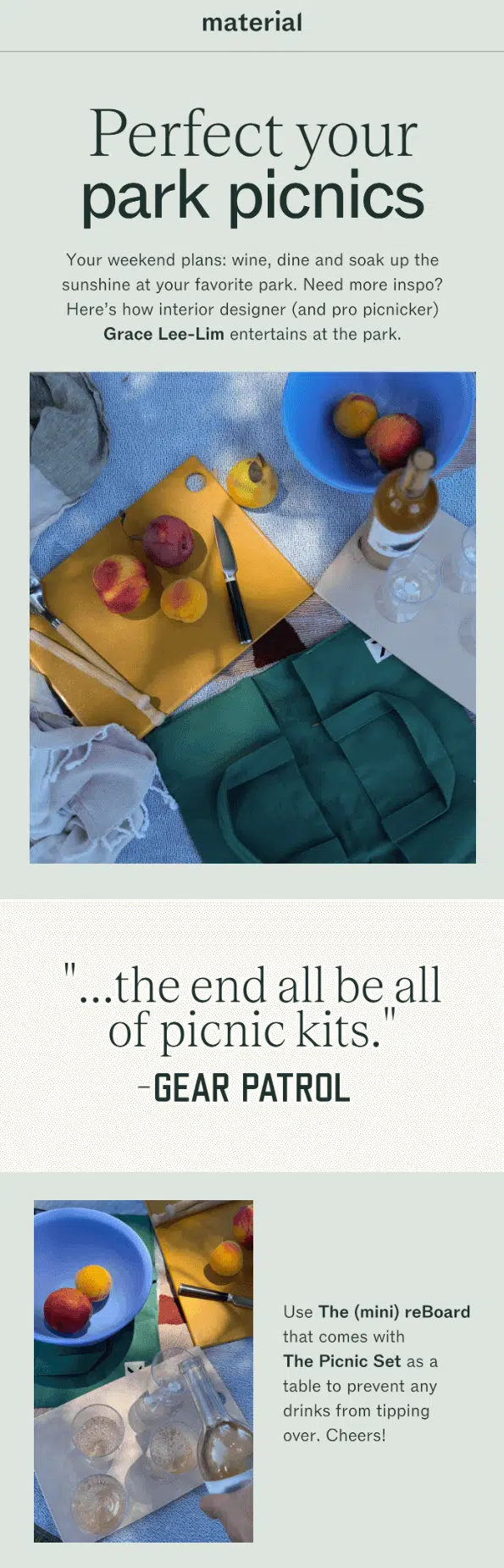 International Picnic Day email design.