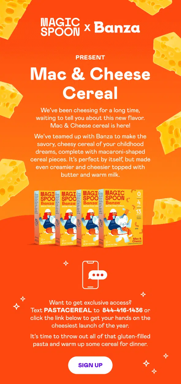 National Cheese Day email design.